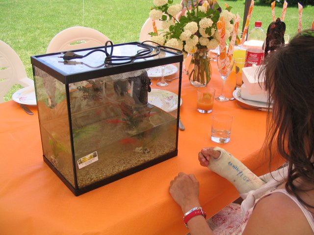 bateme_marlene_mai2008_3753.jpg