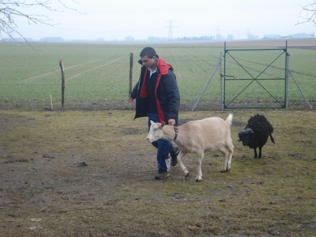 laurent_02129.jpg