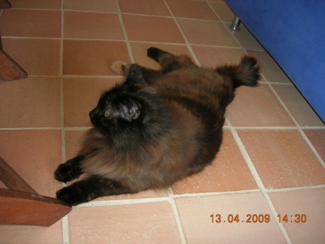 arzon_042009_7511.jpg