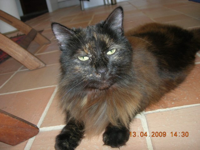 arzon_042009_7513.jpg