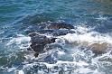 arzon_042009_0091