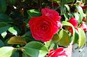 arzon_042009_0133