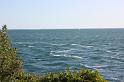arzon_042009_1372