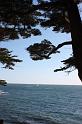 arzon_042009_1373