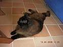 arzon_042009_7511