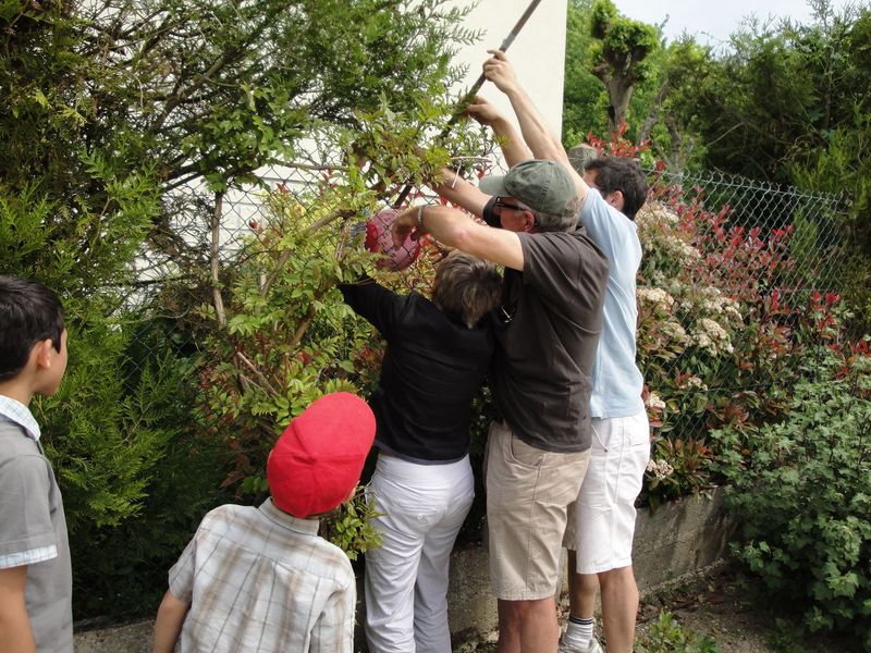 mai2011-famille_0104.jpg