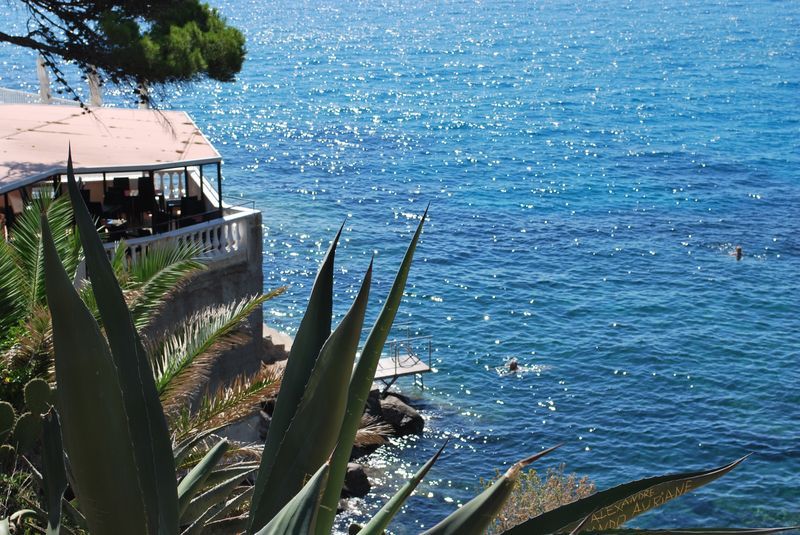 aout2011_cavalaire-001e.jpg