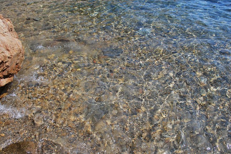 aout2011_cavalaire-002g.jpg