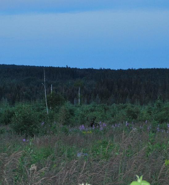 201607-QUEBEC_0266.JPG