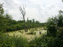 Quebec201707-009c (Copier)