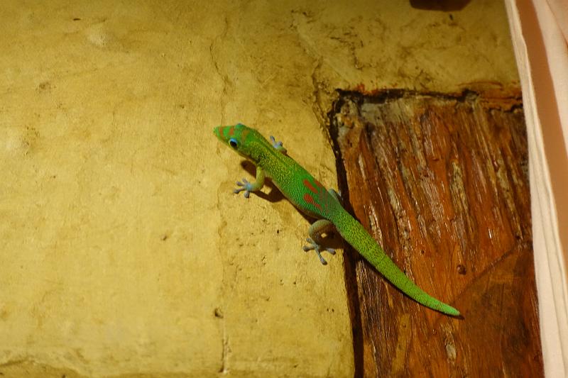 20180300-MADA-302-HotelPalarium-AnkaninNyNofy.JPG