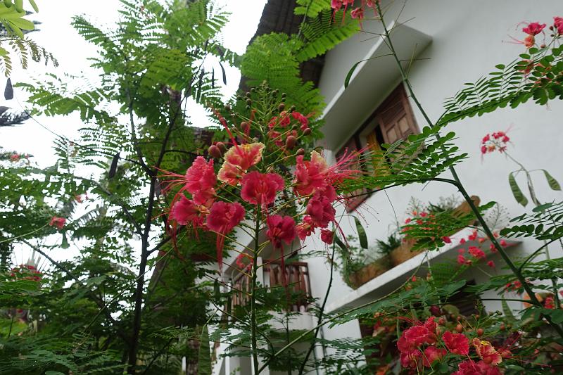 20180300-MADA-354-HotelLaPirogueMahambo.JPG