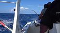 20180928_080418a