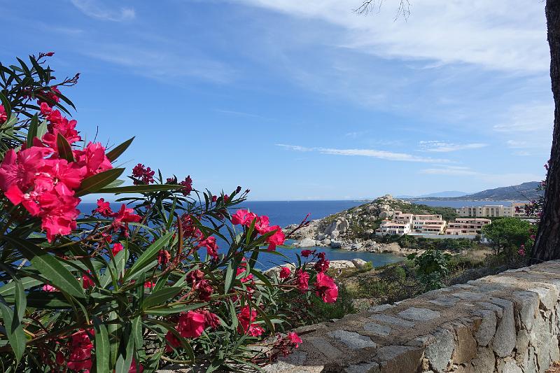 202309-Corse_2668.JPG