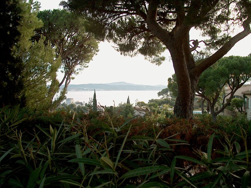 var_paysage_02.jpg